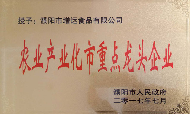 市龍頭化企業(yè)牌匾